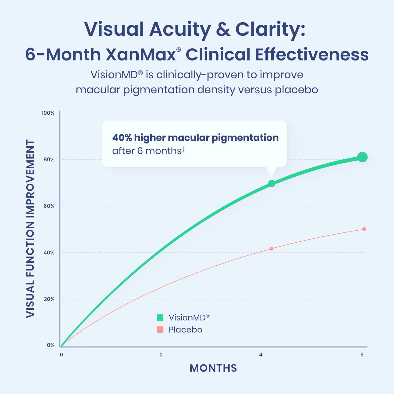 VisionMD® Macular Health Protocol* - Image 3